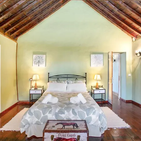 Holiday home Casa Isabel Santa Brigida (Gran Canaria)